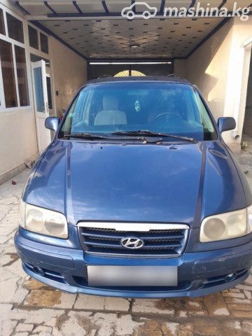 Hyundai Trajet