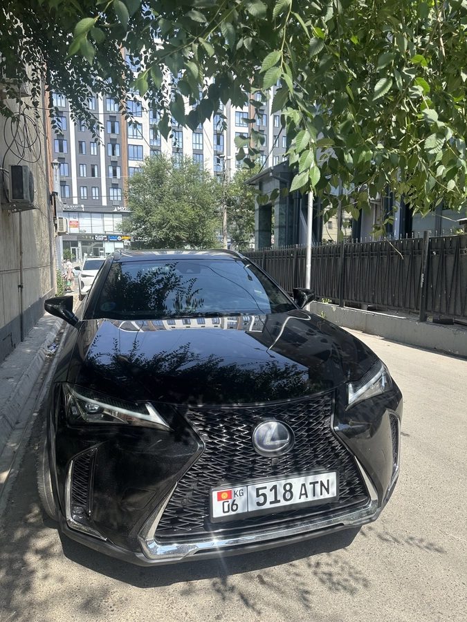 Lexus UX I 2019