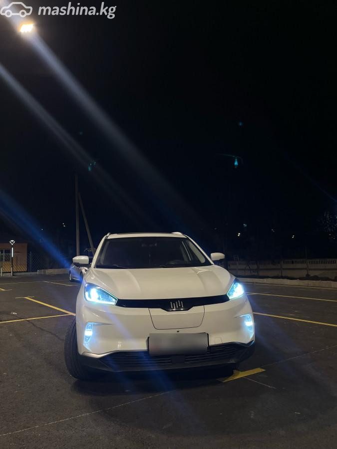 Weltmeister EX5 I